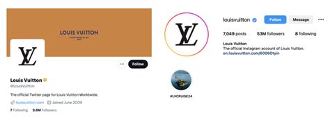 louis vuitton social media platforms|louis vuitton customer profile.